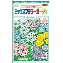 61WXkZGC7+L._AC_UL210_SR210,